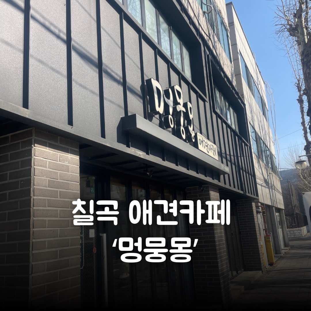 스타비아호텔 2