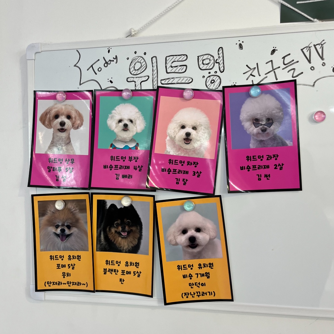 마스트리스보트 5