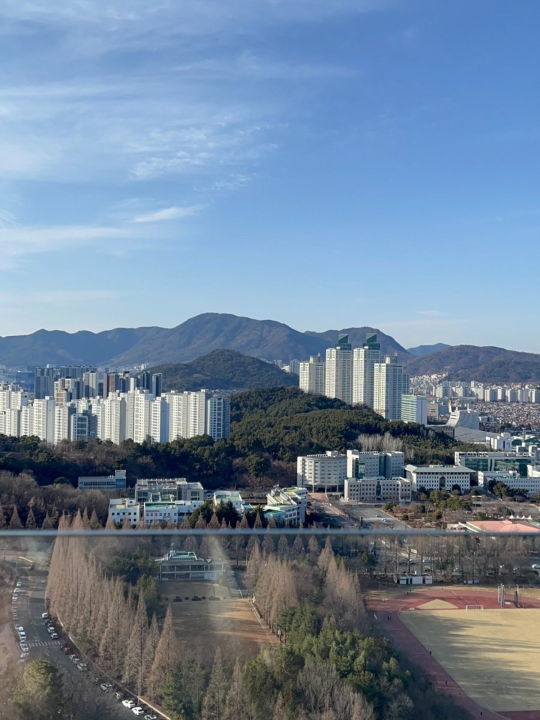 #오늘여기클립#빅트리 #창원빅트리 #대상공원빅트리 #대상공원