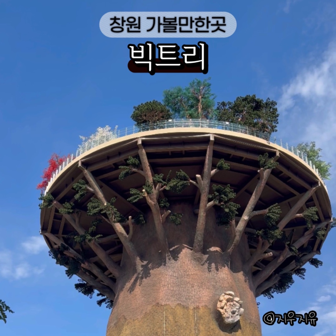 창원 대상공원 #빅트리 #클립챌린저 #지우지유 #오늘의저메추 #나를위한소비 #감정관리 #2월아이랑갈만한곳 #3월가볼만한곳 #창원가볼만한곳... 