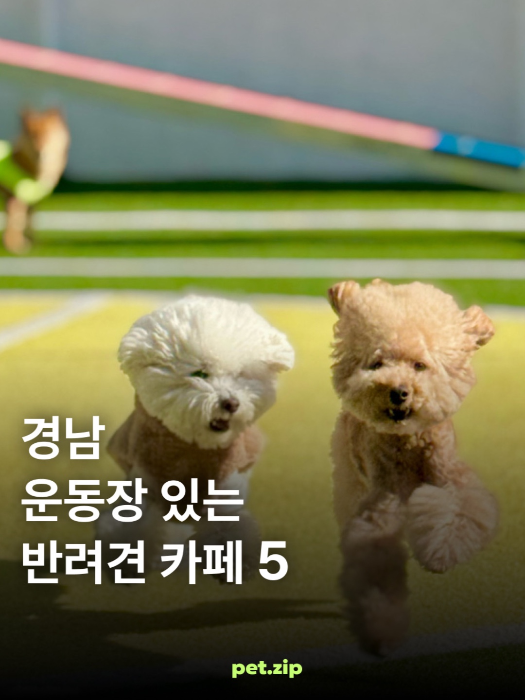 오도독카페 7