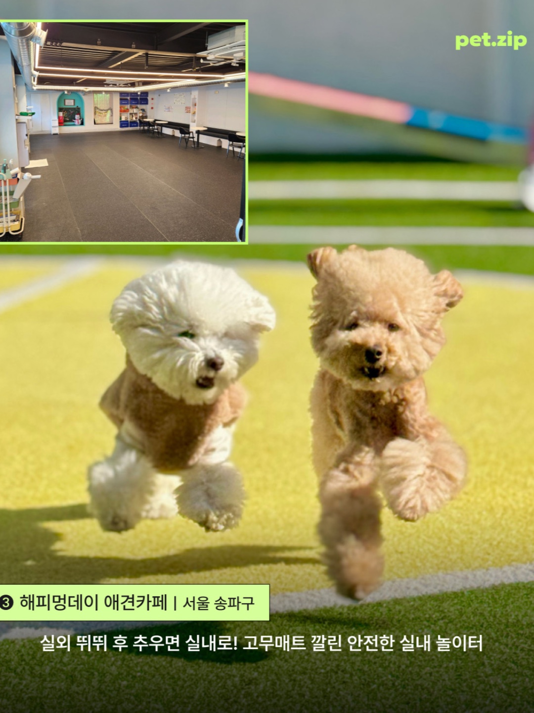 오도독카페 8