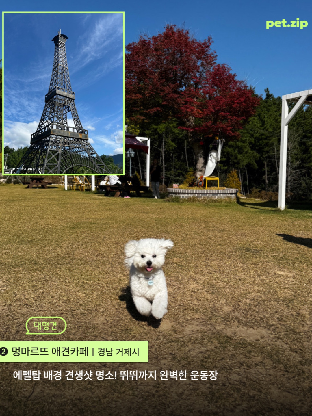 오도독카페 9