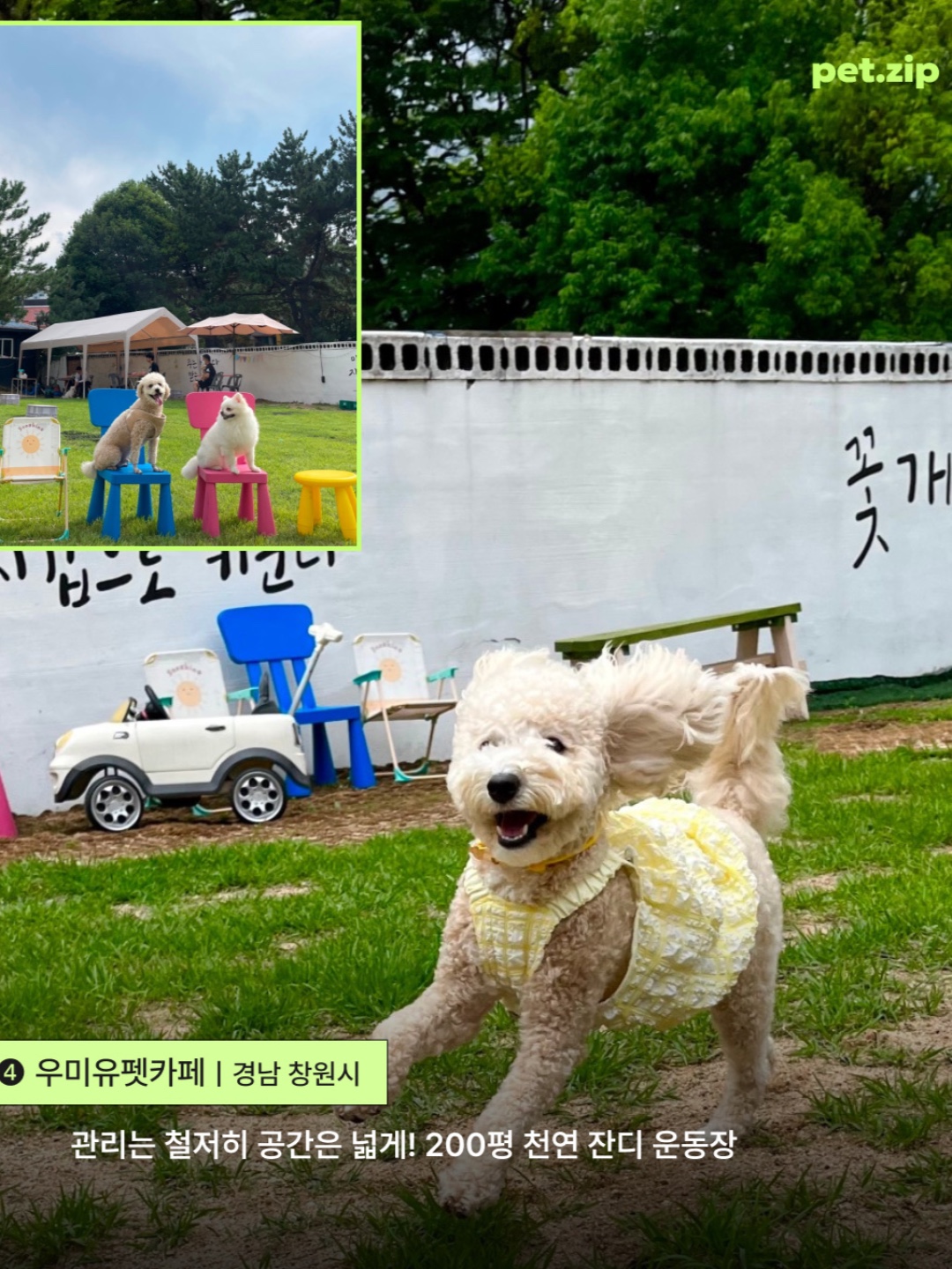 이얼즈 2