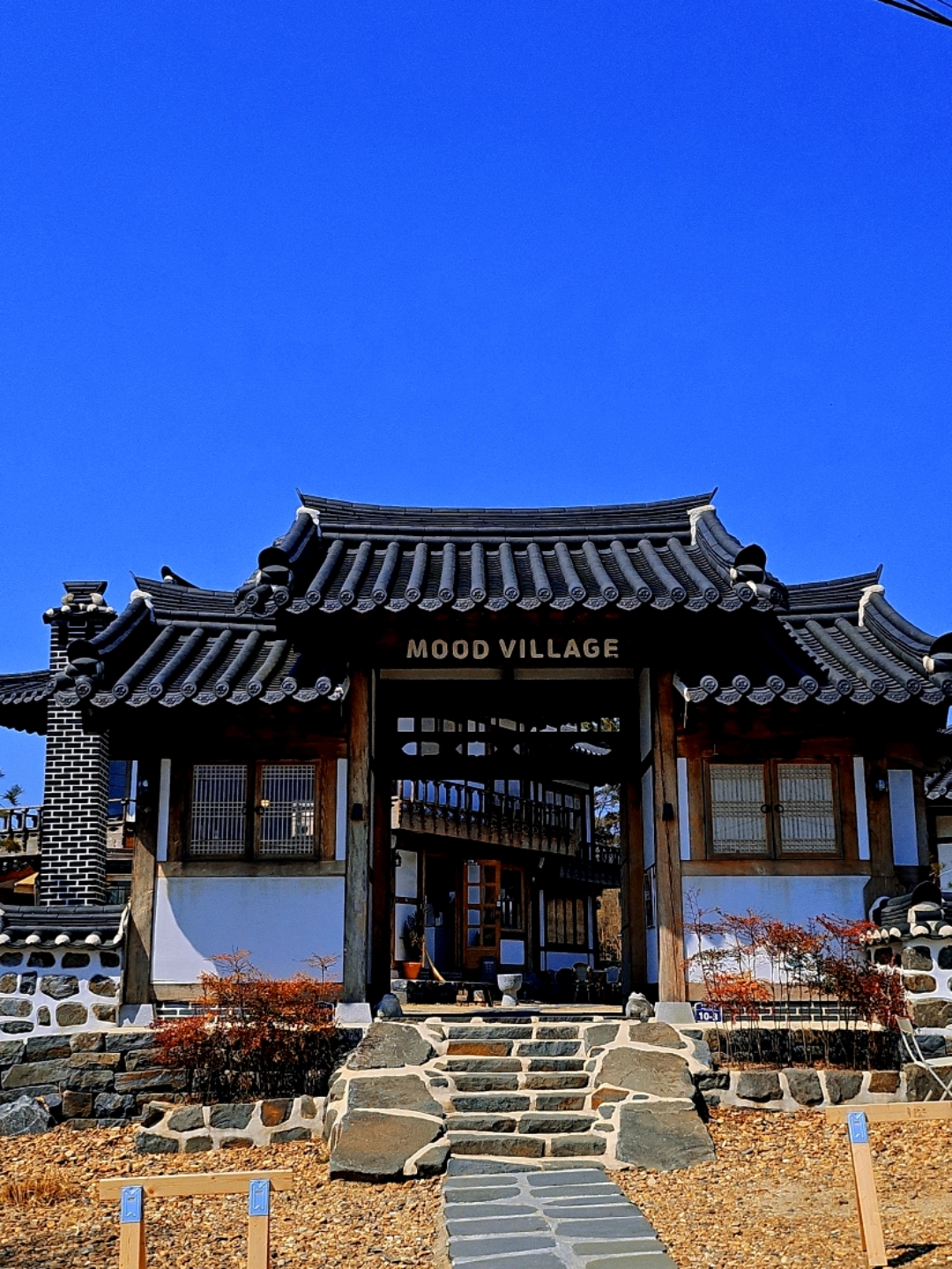 앙갸또 9