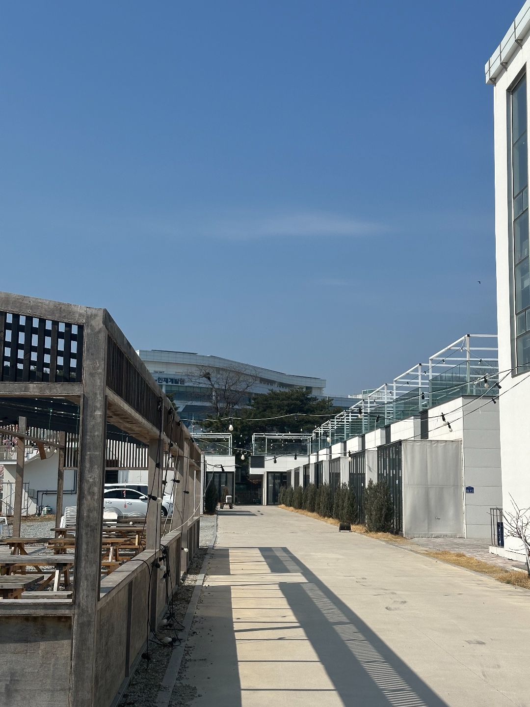 레오스토랑 10
