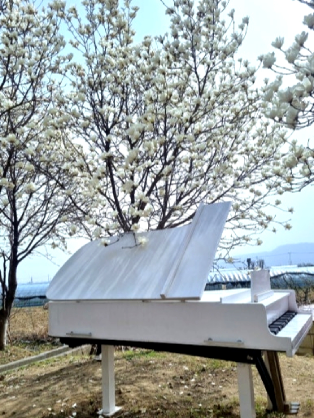 김해시민의숲