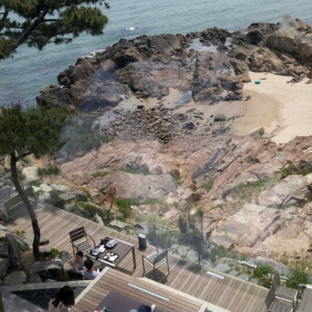 웨이브