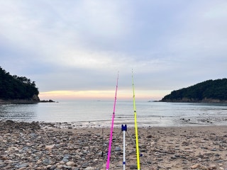 백리포야영장